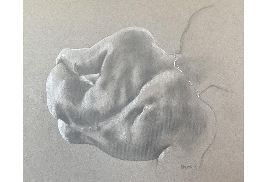 William Webster. "Back Shadows" Graphite & White Charcoal on Grey Paper