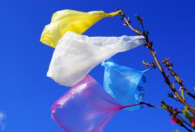 Washington bans single-use plastic bags