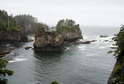 Washington wonders: Exploring the coast and Hoh Rain Forest