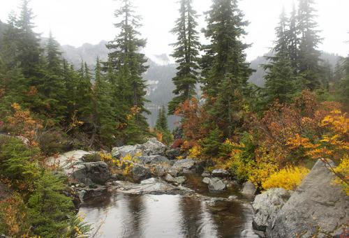 Enjoy the beauty of autumn at Snow Lake, even in the rain