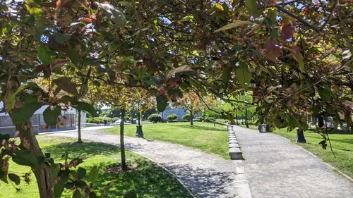 Search for the Soul of Seattle: Just a nice day