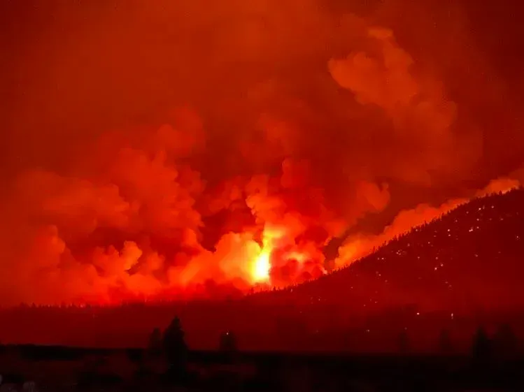The Whitmore Fire burned 14 miles west of Nespelem, Wash. – Photo courtesy of the Incident Information System