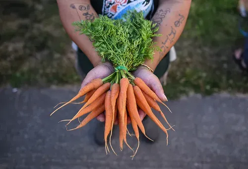 Seattles Farmers Markets: A look at these community staples and the challenges they face
