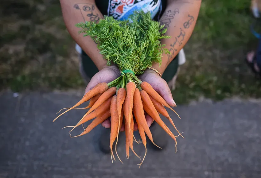Photo courtesy of Neighborhood Farmers Markets