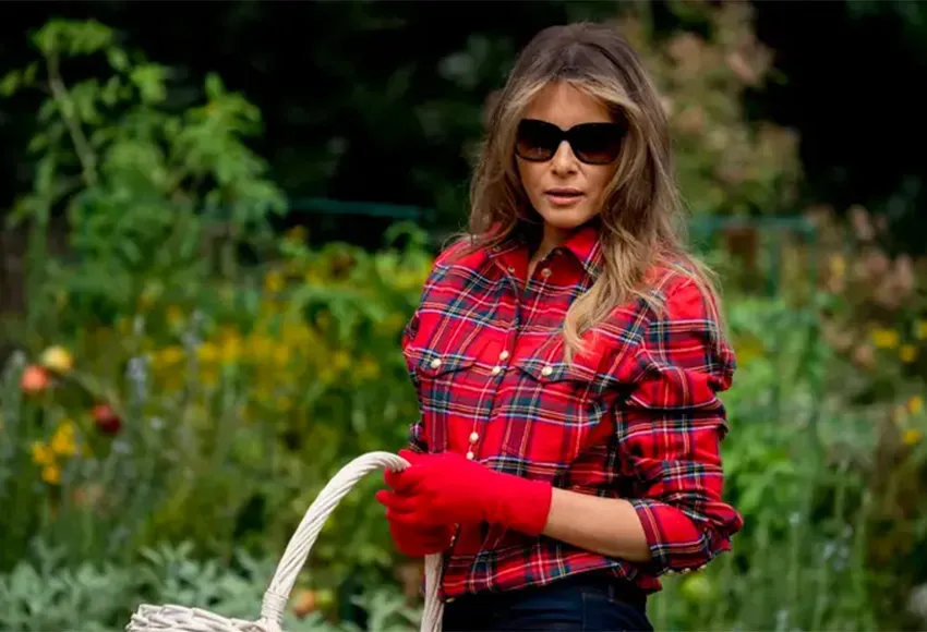 Photo by Andrew Harnik / AP