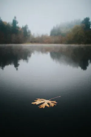 Photo by Cole Keister / Pexels