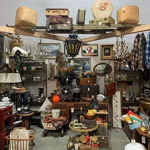 Queer-owned business spotlight: Epic Antique