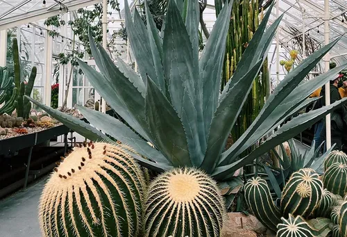 Looking for love in the Emerald City: V-Day dates for the Gays, the Theys, & all the LGBTQIAs