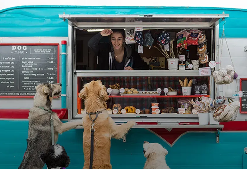 Photo courtesy of The Seattle Barkery