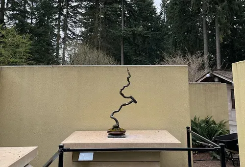 Celebrate nature, culture, and history in Federal Way
