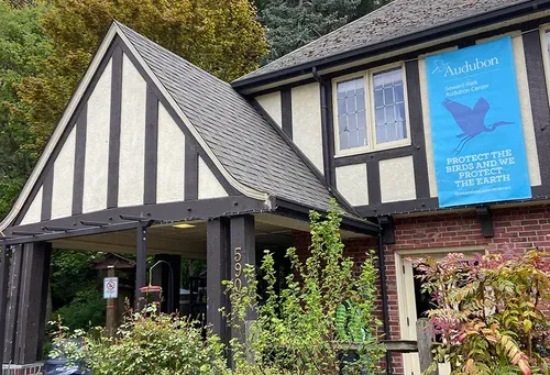 Birds of praise: Seward Audubon naturalists give local birds the attention they deserve in weekend classes