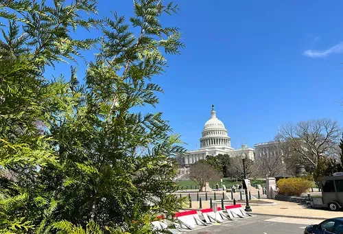Summer fun in Washington, DC