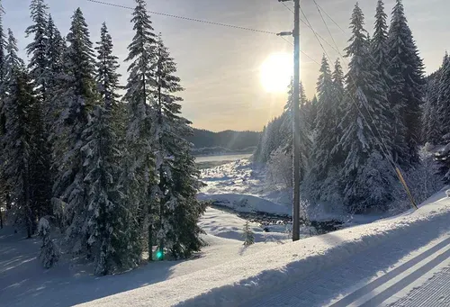Jacks Take: How to survive Seattle until spring