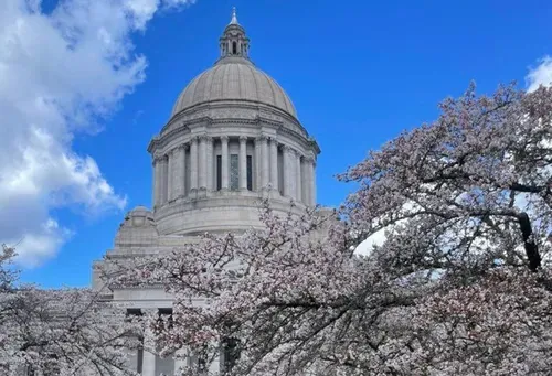 WA Senate votes to protect Trans youth