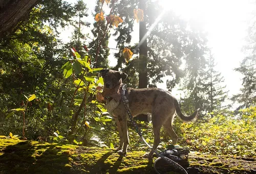 Trailblazing at Seward Park
