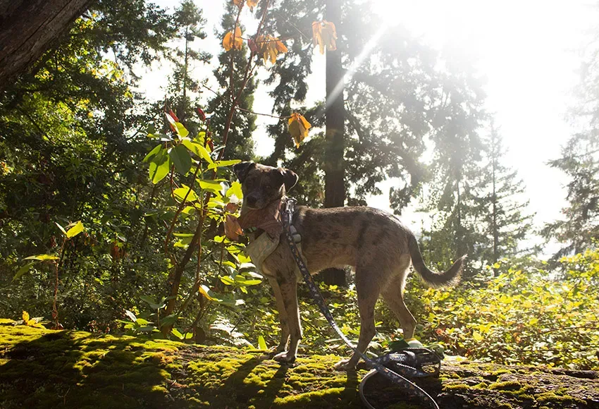 Photo by Lindsey Anderson