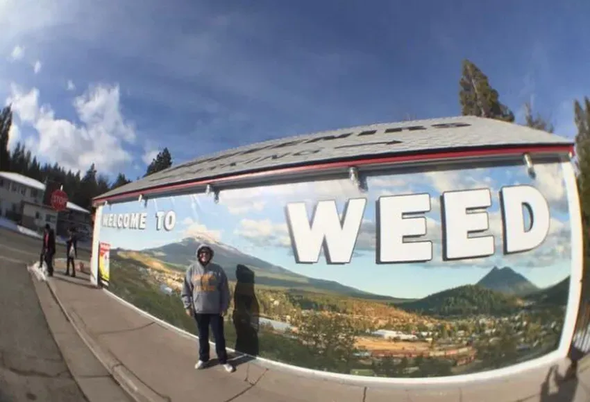 Cameron in Weed, CA, 2016 – Courtesy photo