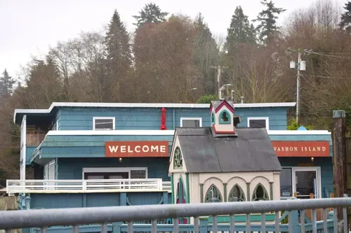A light against the dark: Vashon Islands Menorah of Hope