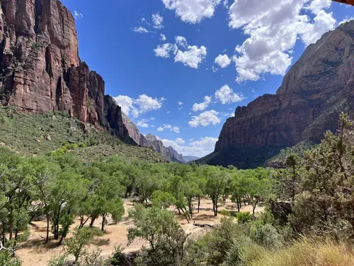 On the road in Utahs national parks: Exploring canyons, hoodoos, and the desert