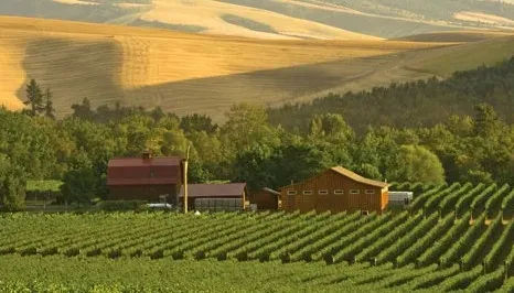 Pride journey:  Walla Walla: A hidden gem for LGBTQ+ food, wine, and adventure seekers