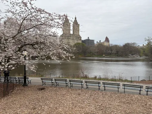 Botanical in the Big Apple: A guide to Central Park, a wild and wonderful man-made heaven  