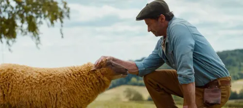 The Sheep Detectives:  An endearing mystery that will steal your heart