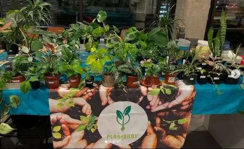 North Beacon Hill’s Queer-owned Plantbaby seeks to increase Seattle’s houseplant sustainability 