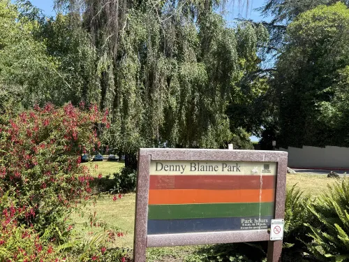 Judge allows Denny Blaine Park to remain open but orders city to further abate “public nuisance” activities