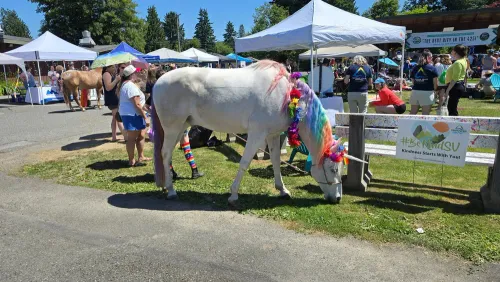 Snovalley Pride 2025 (June 8)